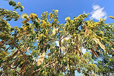 国产肉鸽射击游戏黑马！《矩阵：零日危机》定档7月30日全球上线